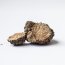 Summer truffle, Tuber aestivum